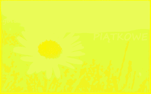 Jak co tydzień o poranku